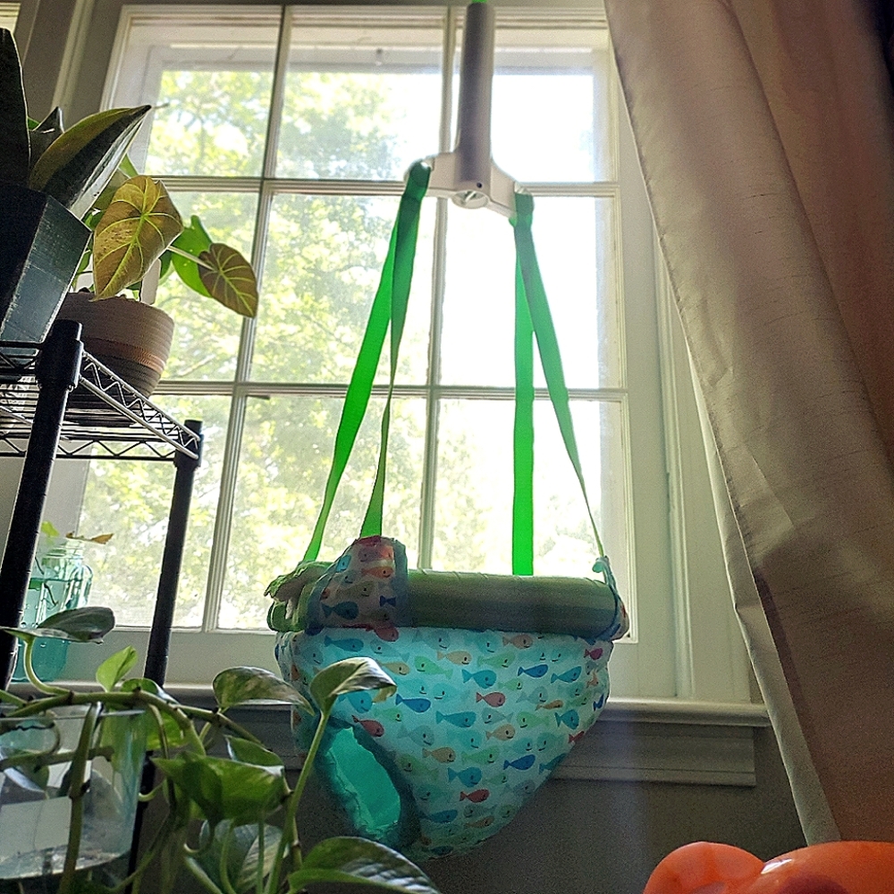 Infant Door Swing